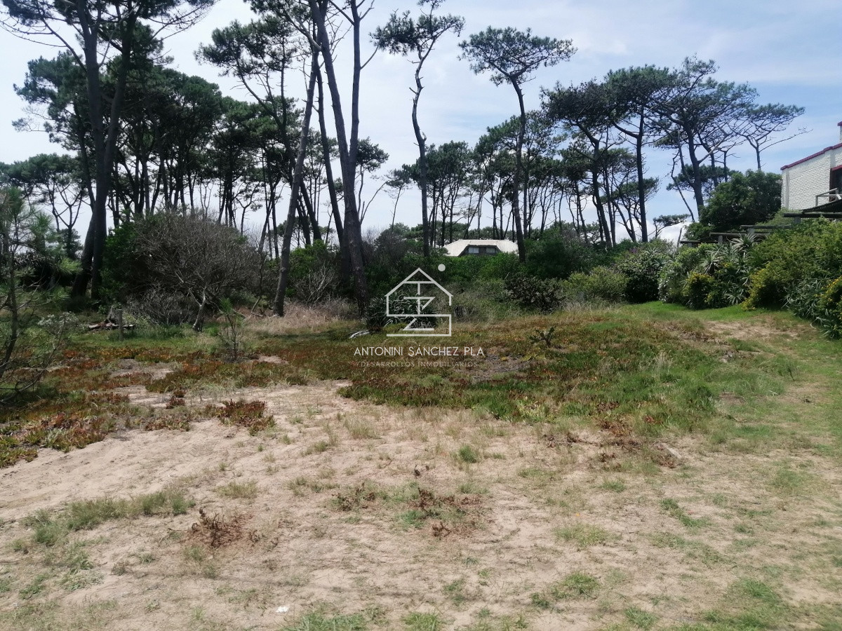 Terreno ID.4084 - VENTA TERRENO SOLANAS