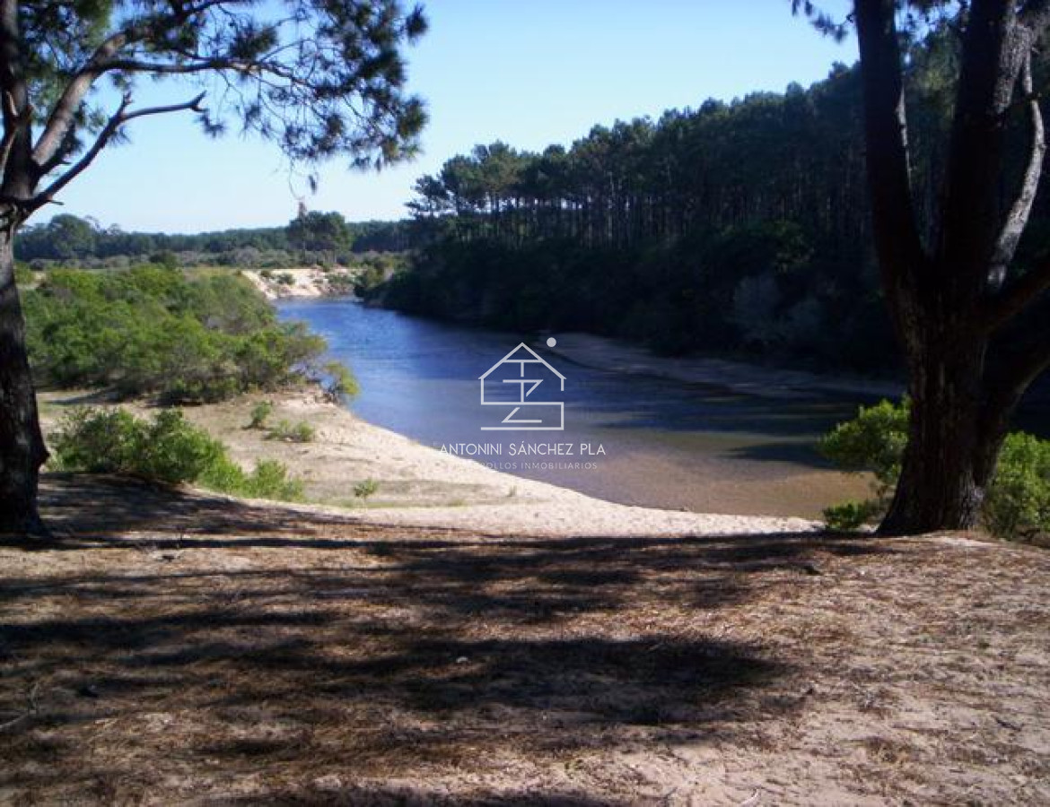 Terreno ID.4087 - Terreno en Punta Ballena, Chihuahua