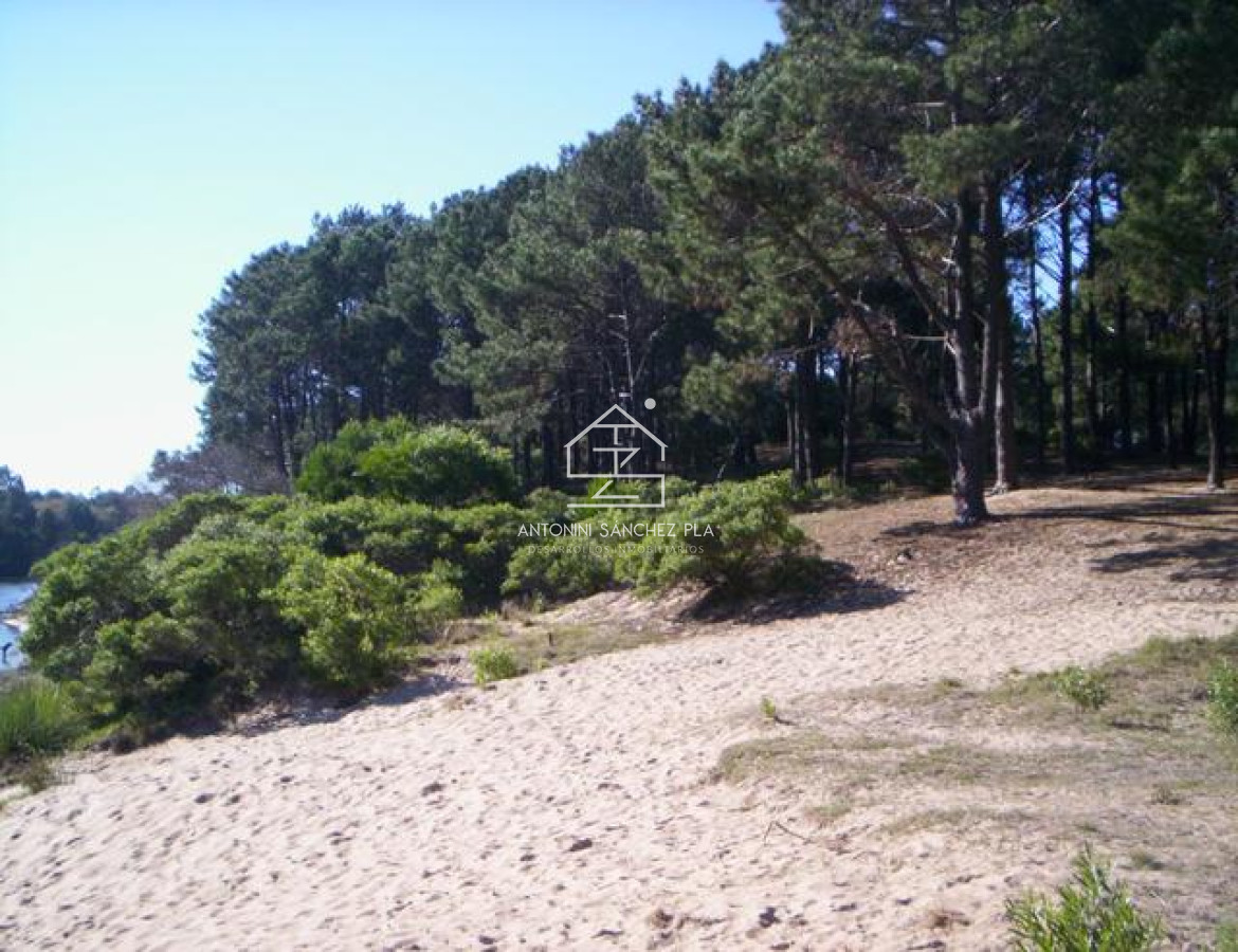 Terreno ID.4087 - Terreno en Punta Ballena, Chihuahua