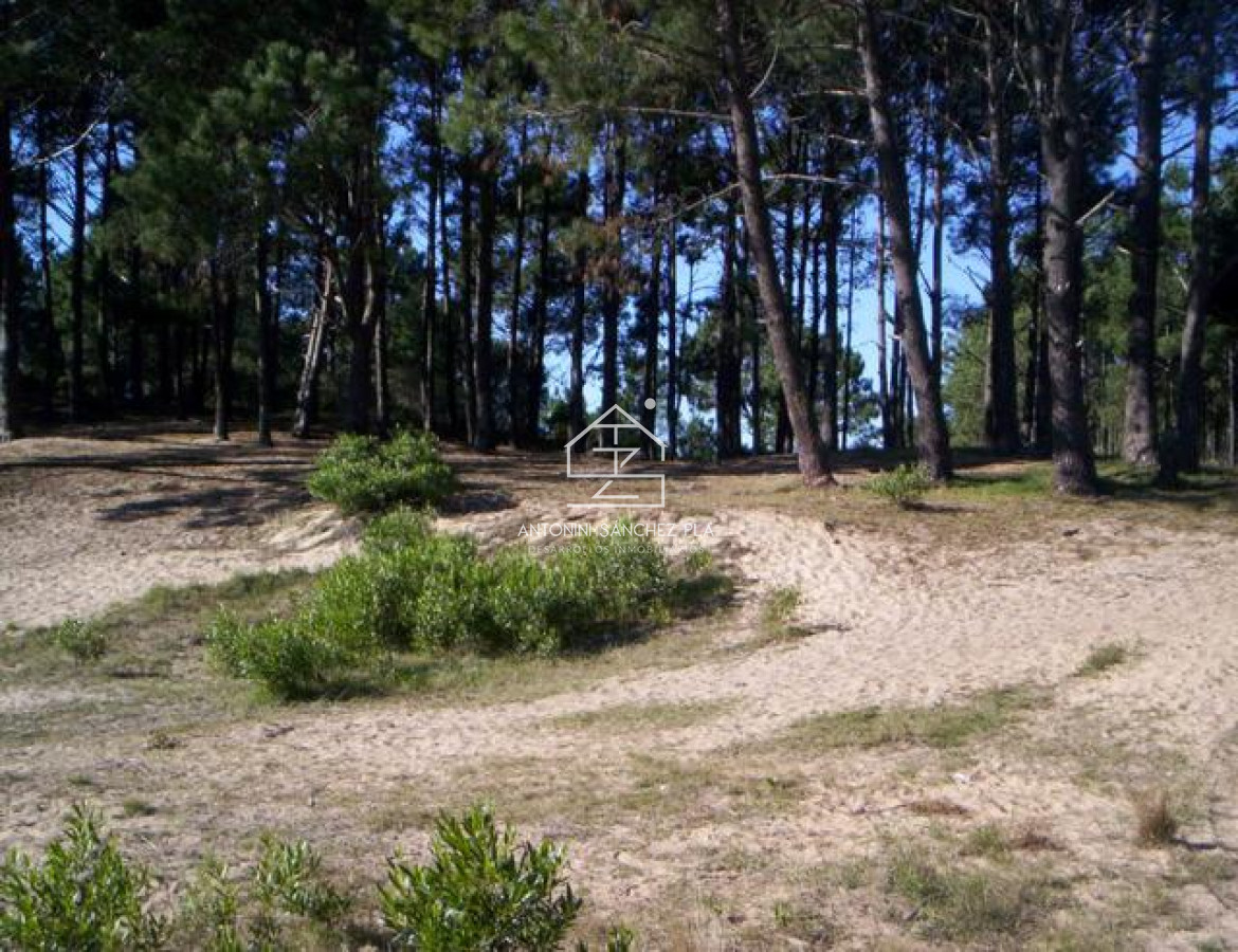 Terreno ID.4087 - Terreno en Punta Ballena, Chihuahua