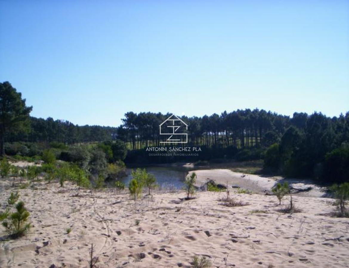 Terreno ID.4087 - Terreno en Punta Ballena, Chihuahua