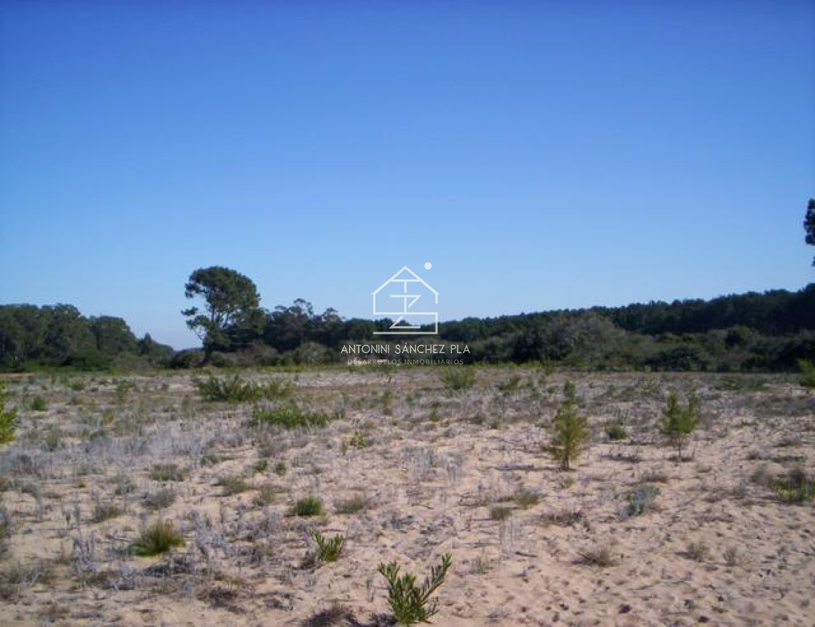 Terreno ID.4087 - Terreno en Punta Ballena, Chihuahua