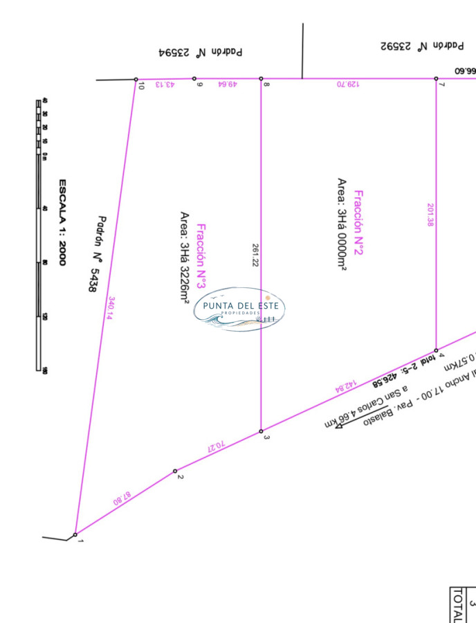 Chacra ID.125 - Venta chacra forestada, 3 has San Carlos