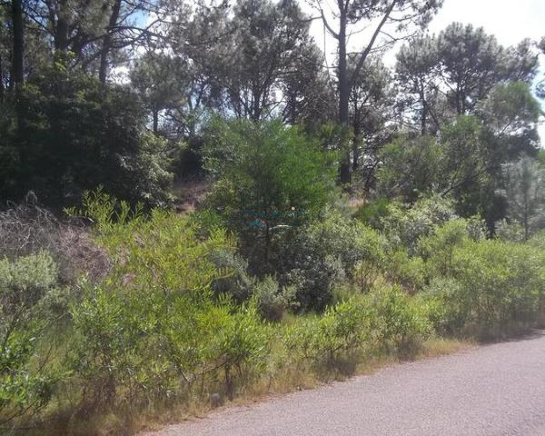 Terreno ID.113 - Venta terrenos en club del lago 