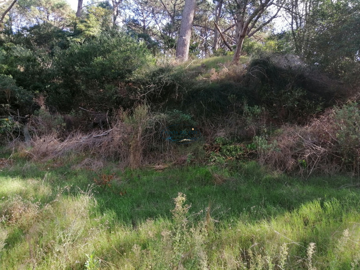 Terreno ID.113 - Venta terrenos en club del lago 
