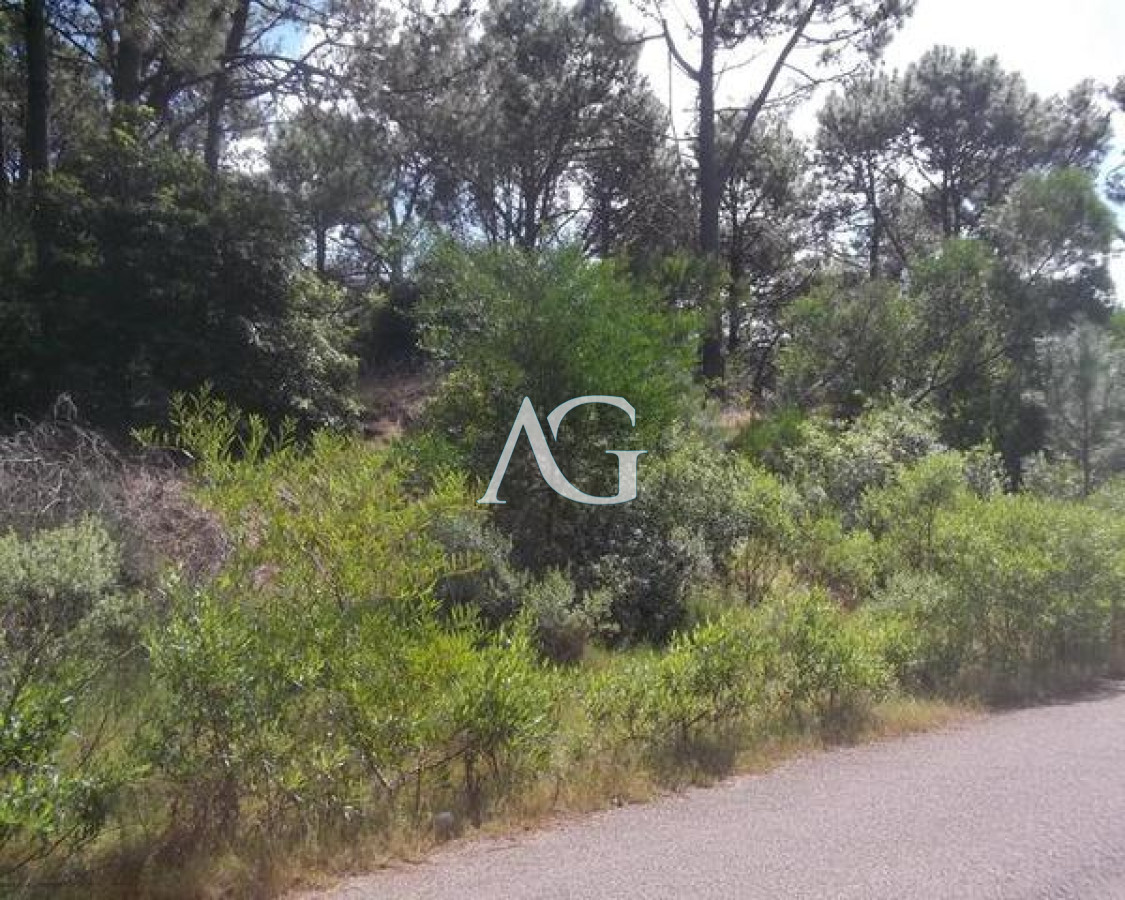 Terreno ID.101 - Venta terrenos en club del lago 