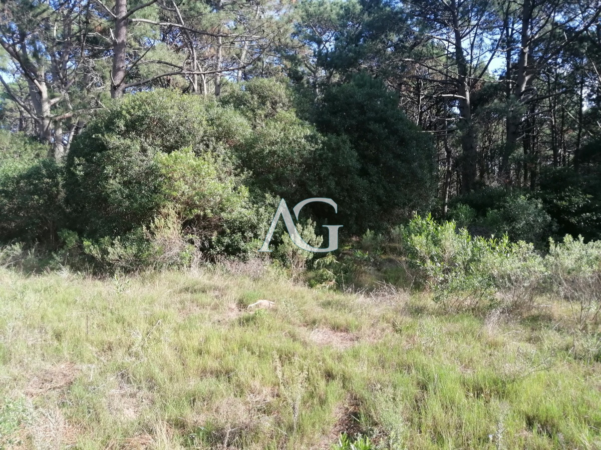 Terreno ID.101 - Venta terrenos en club del lago 