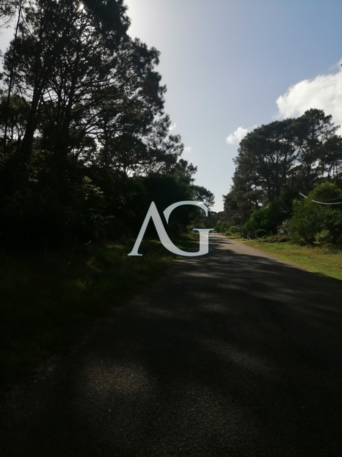 Terreno ID.101 - Venta terrenos en club del lago 