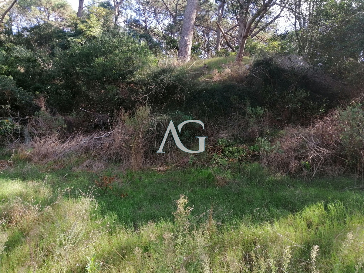 Terreno ID.101 - Venta terrenos en club del lago 