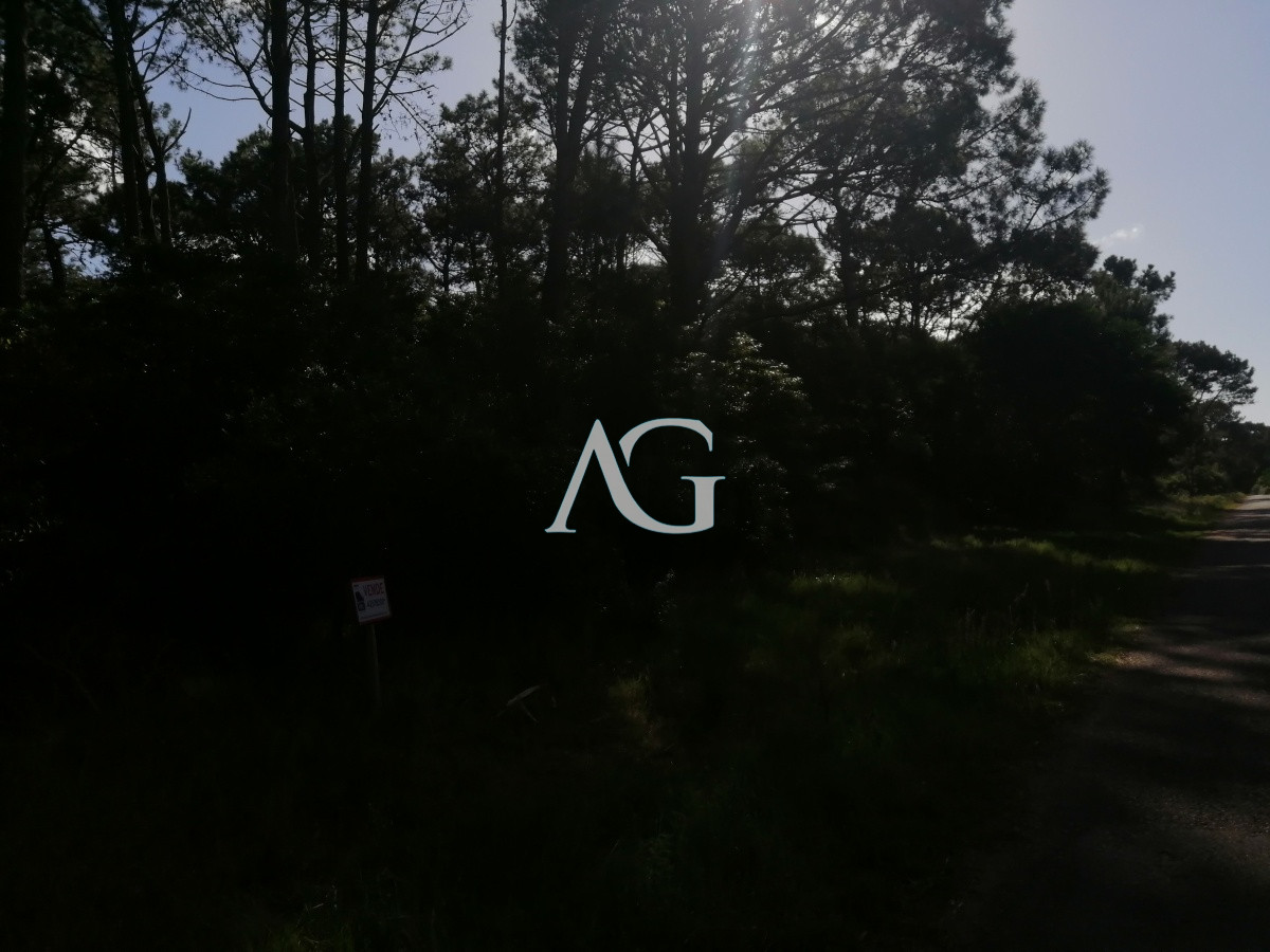 Terreno ID.101 - Venta terrenos en club del lago 