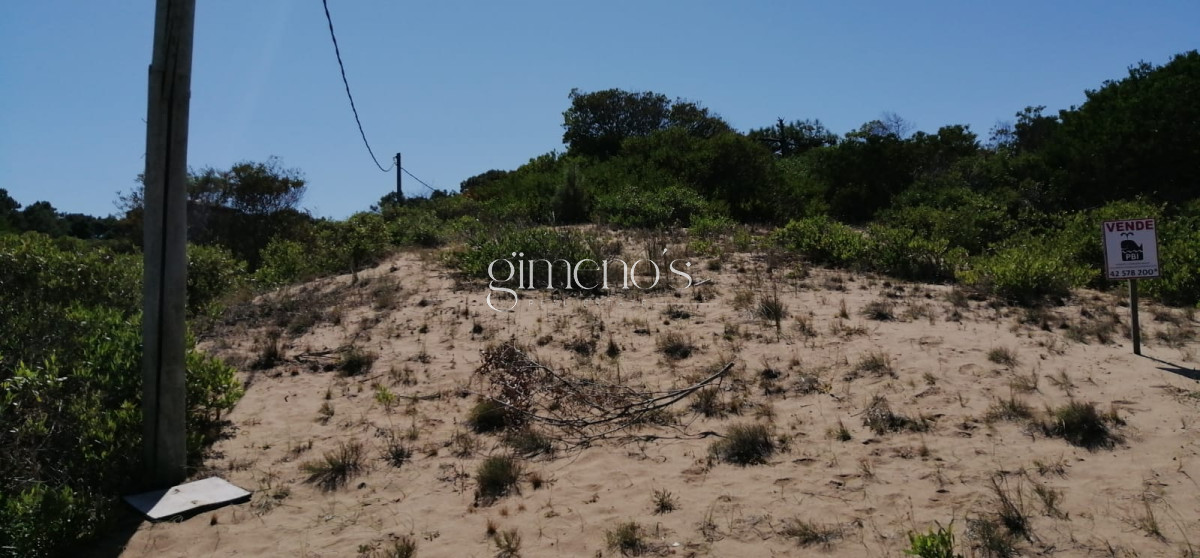 Terreno ID.1504 - Terreno en Venta proximo al Mar - Chihuahua - Punta Ballena 