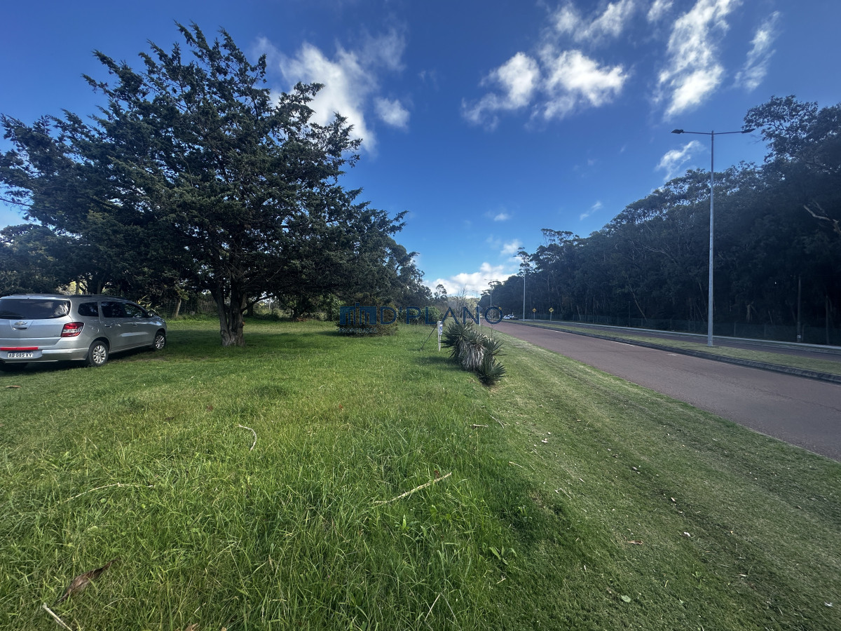 Casa ID.123 - VENTA DE 3 CASAS SOBRE CAMINO LUSSICH PUNTA BALLENA 