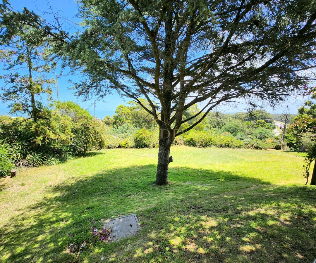 Casa ID.5186 - Venta casa tipo posada de 9 apartamentos. Punta Ballena 