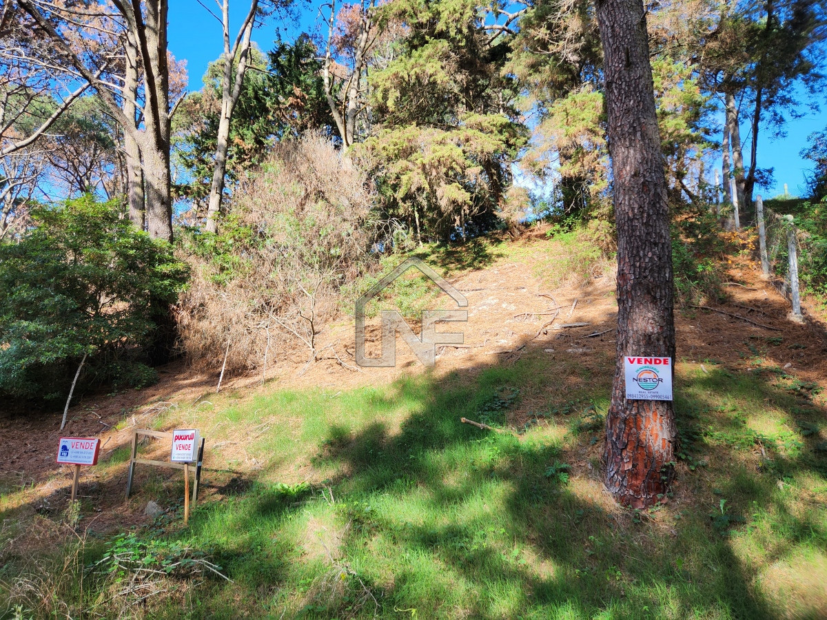 Terreno ID.124 - Venta terreno sobre cancha de golf 