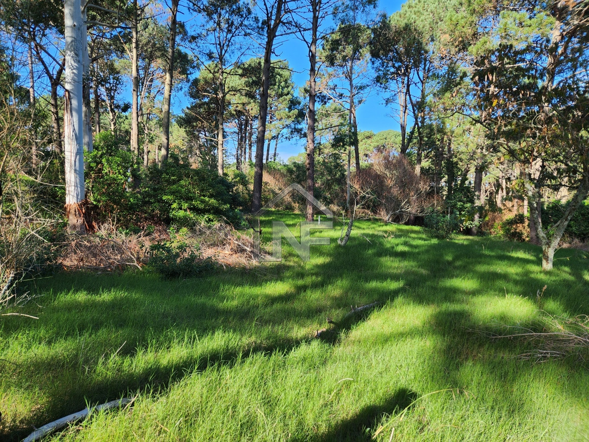 Terreno ID.124 - Venta terreno sobre cancha de golf 