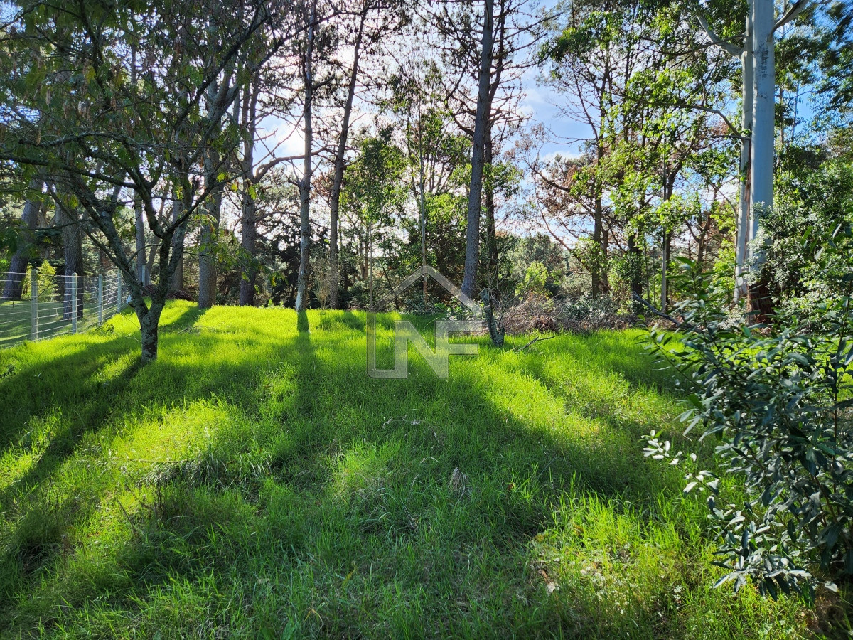Terreno ID.124 - Venta terreno sobre cancha de golf 