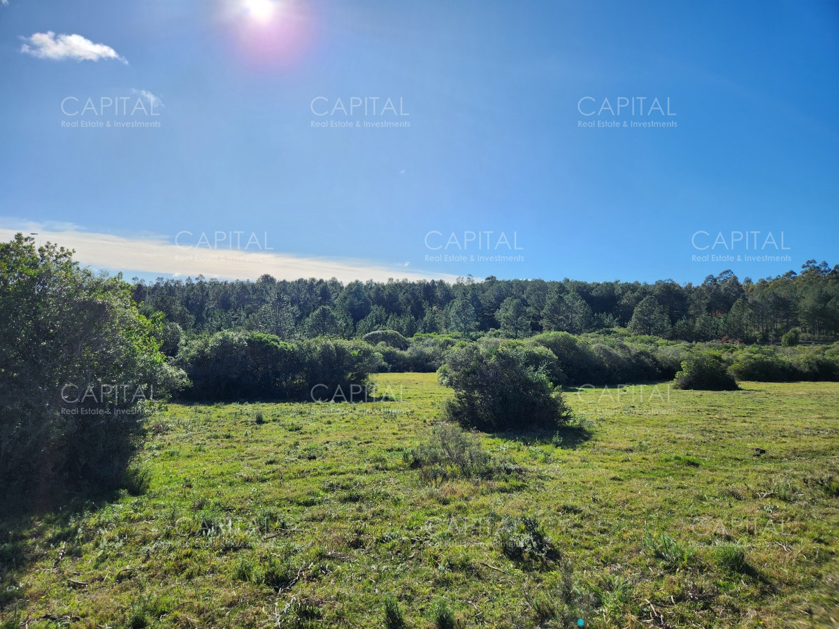 Chacra ID.38313 - Venta de chacras sobre Cerro Pan de Azúcar, Maldonado 