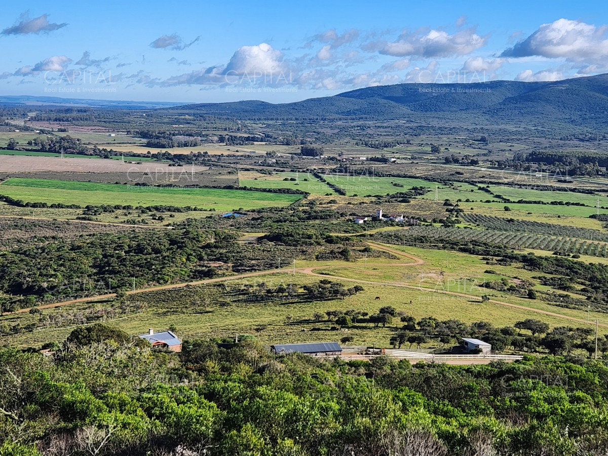 Chacra ID.38313 - Venta de chacras sobre Cerro Pan de Azúcar, Maldonado 