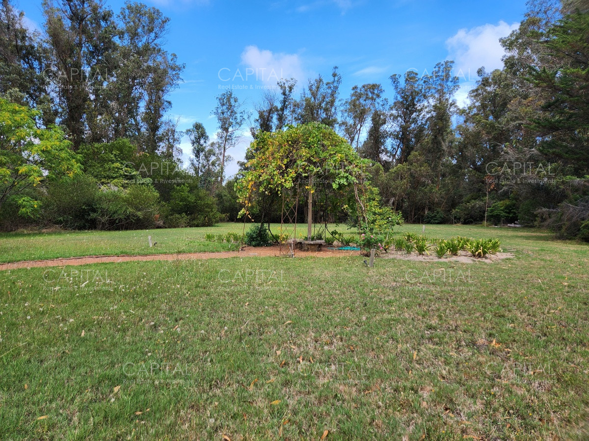 Chacra ID.36278 - Chacra en Venta Punta Ballena
