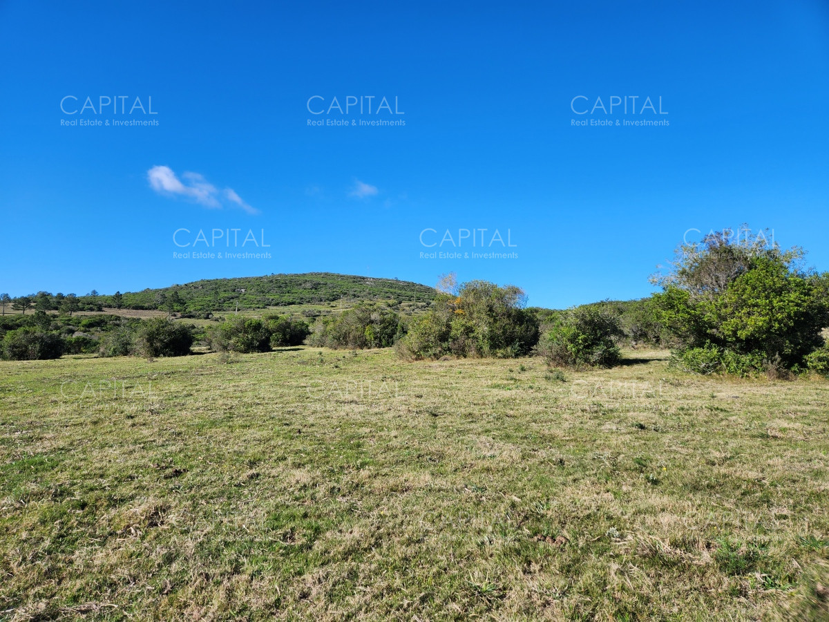 Chacra ID.38313 - Venta de chacras sobre Cerro Pan de Azúcar, Maldonado 