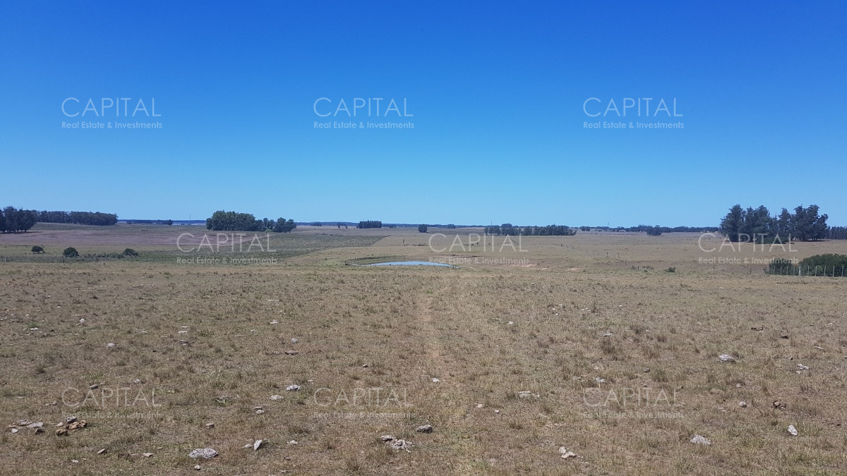 Chacra ID.38587 - Chacra en Zona Rural - Zona Rural