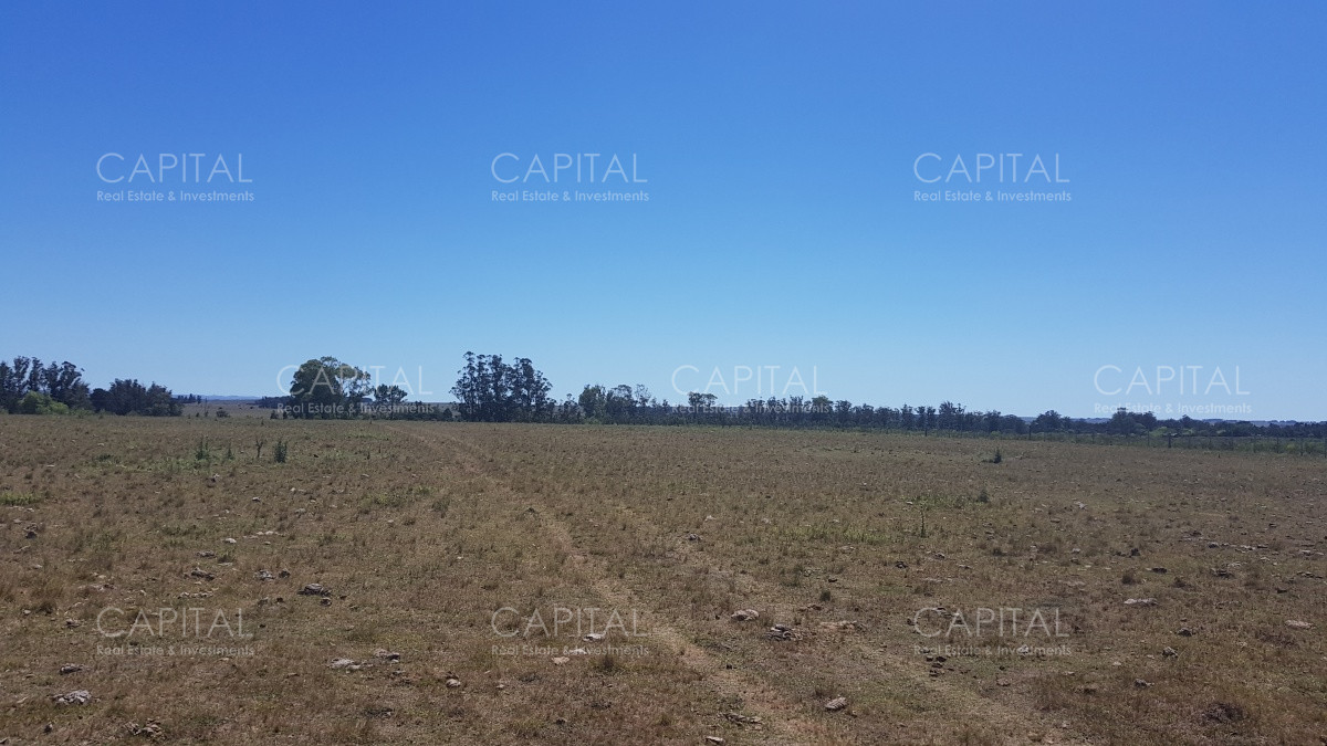 Chacra ID.38587 - Chacra en Zona Rural - Zona Rural