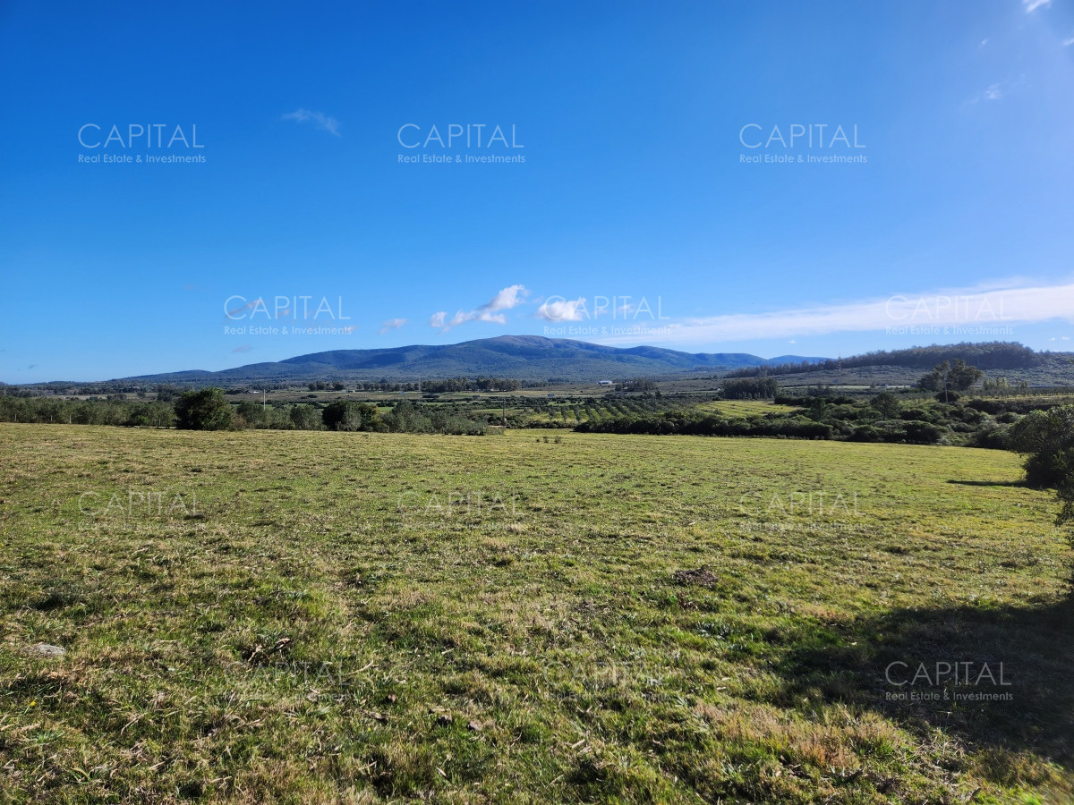 Chacra ID.38313 - Venta de chacras sobre Cerro Pan de Azúcar, Maldonado 