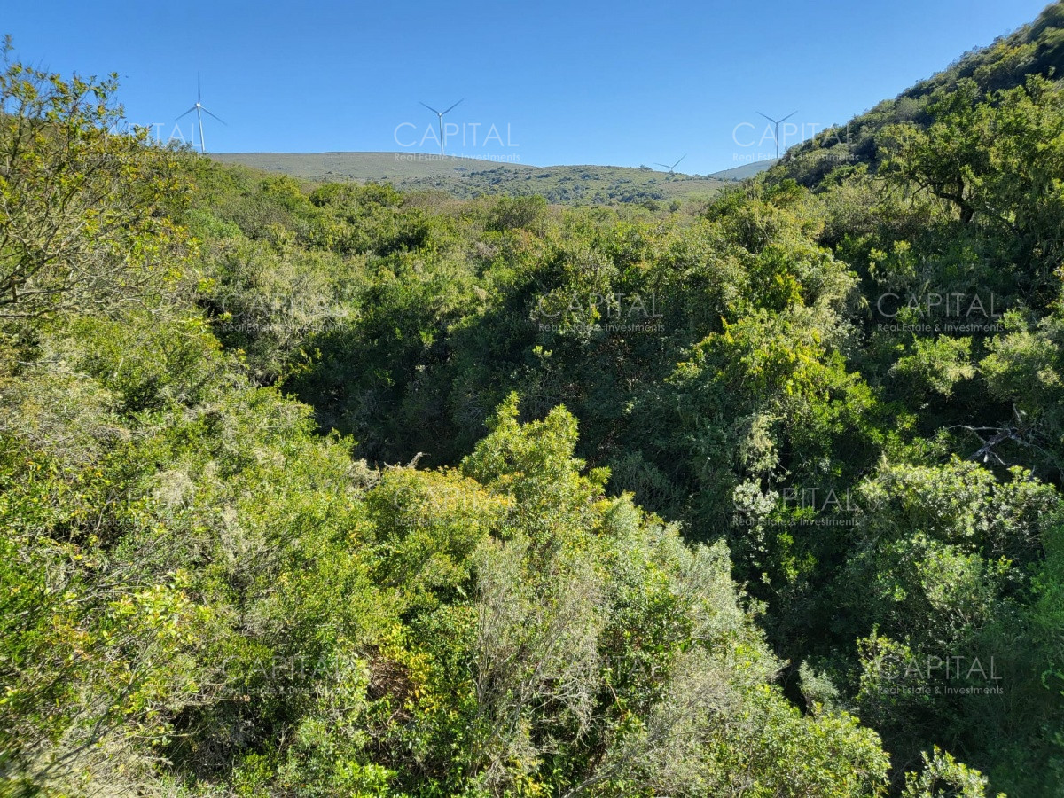 Chacra ID.34024 - Venta chacras turísticas, Maldonado 
