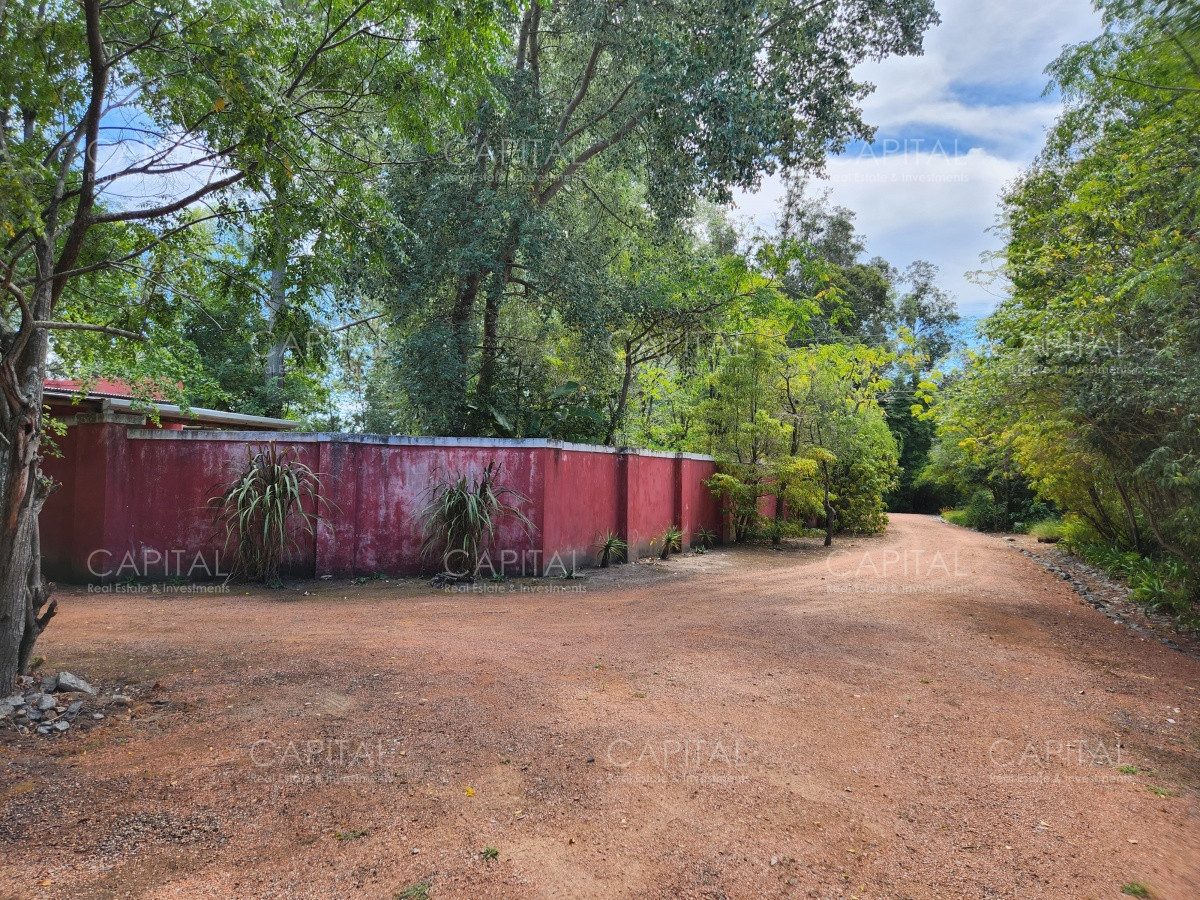 Chacra ID.36278 - Chacra en Venta Punta Ballena