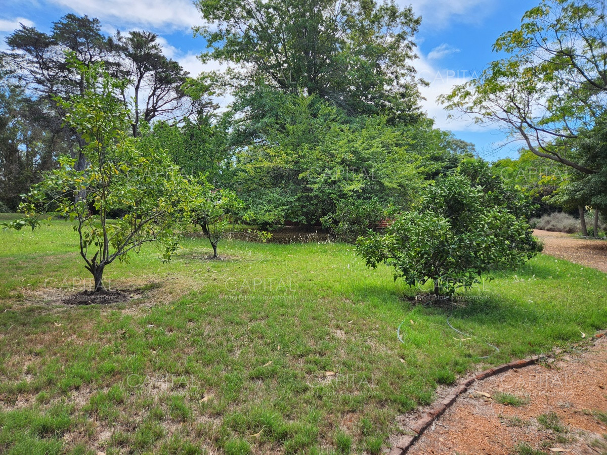 Chacra ID.36278 - Chacra en Venta Punta Ballena