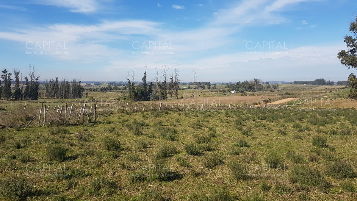 Chacra ID.29685 - Venta chacras en las vertientes 