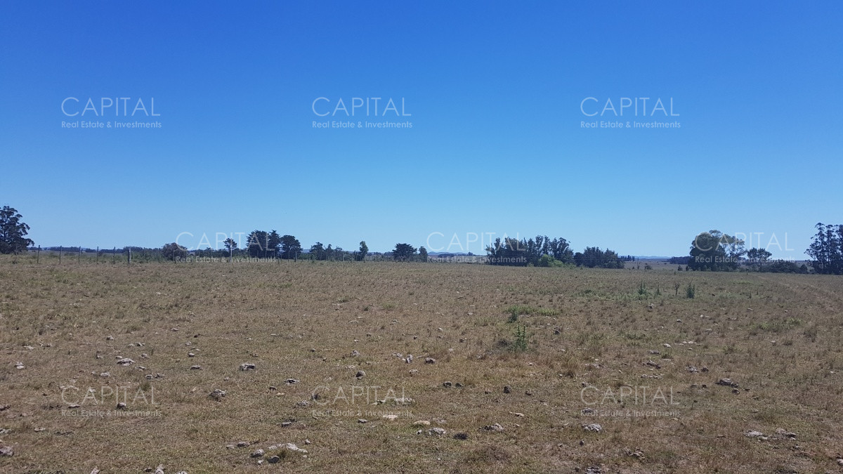 Chacra ID.38587 - Chacra en Zona Rural - Zona Rural