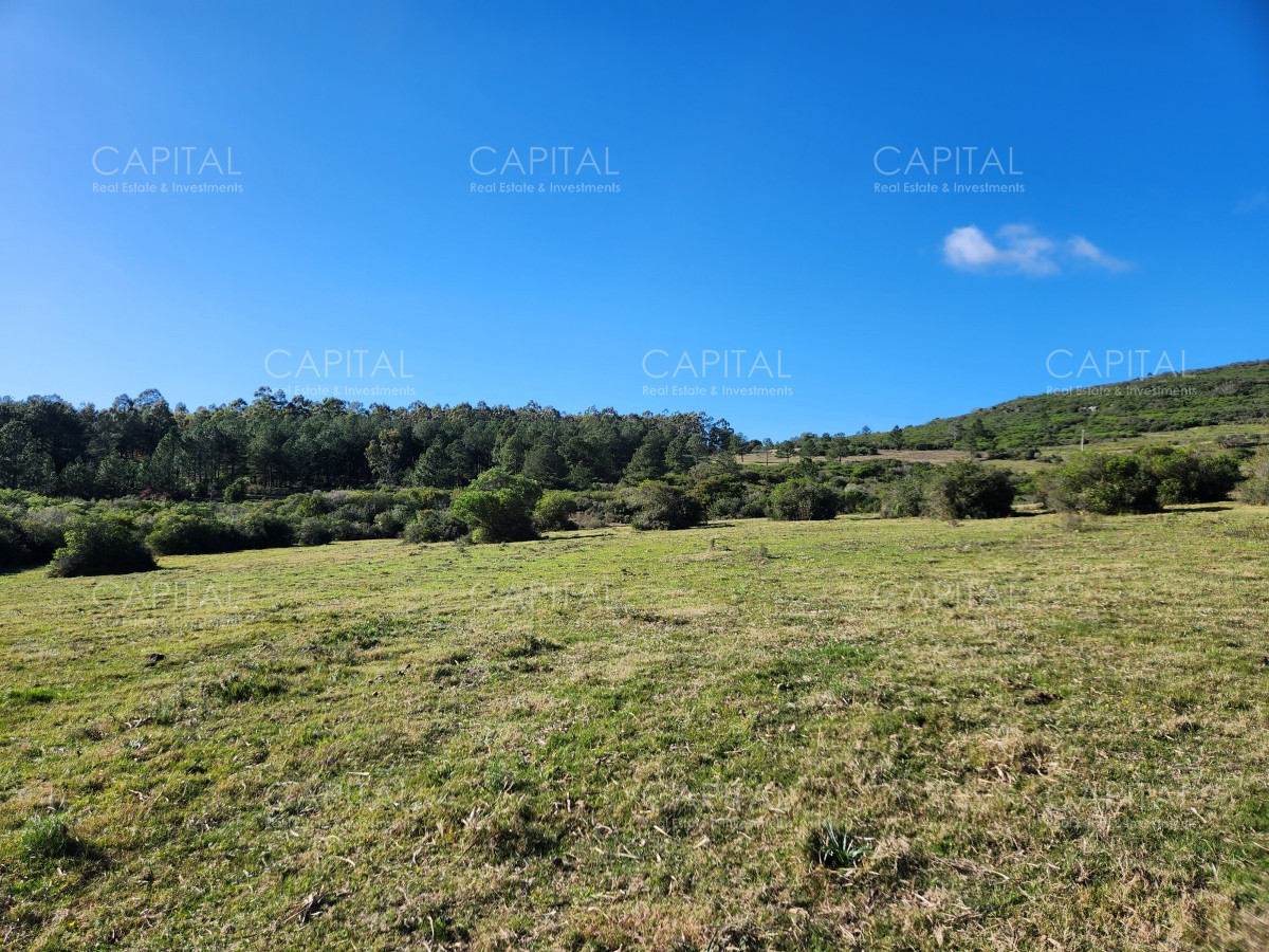 Chacra ID.38313 - Venta de chacras sobre Cerro Pan de Azúcar, Maldonado 
