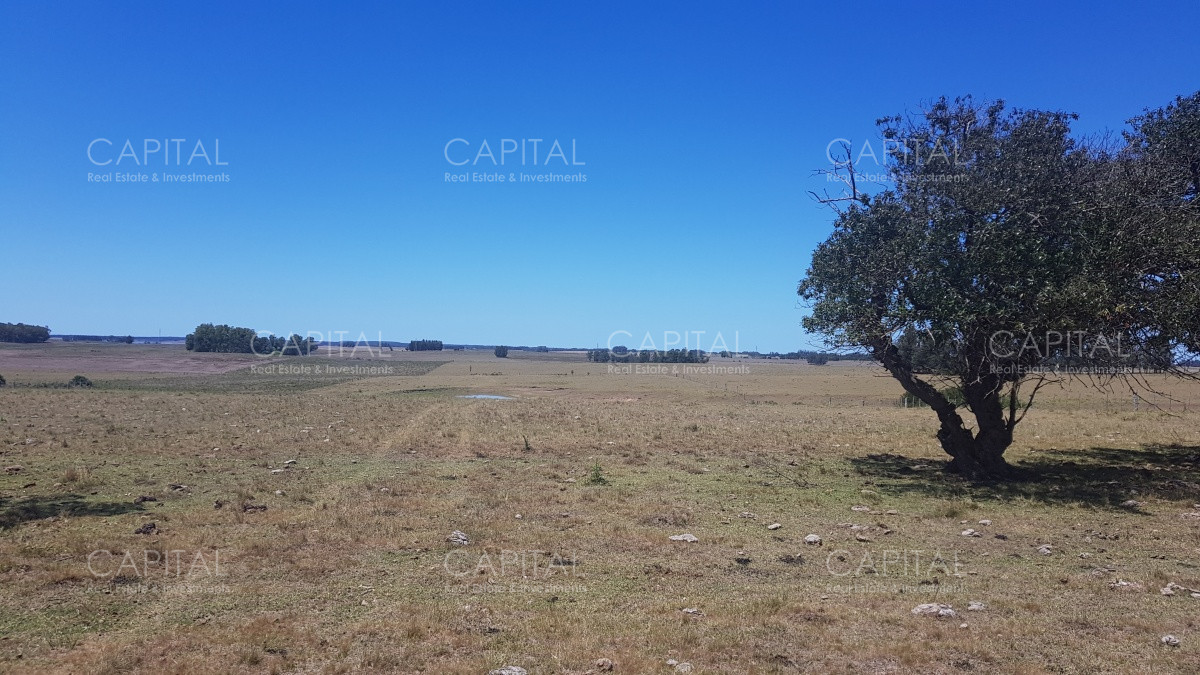 Chacra ID.38587 - Chacra en Zona Rural - Zona Rural