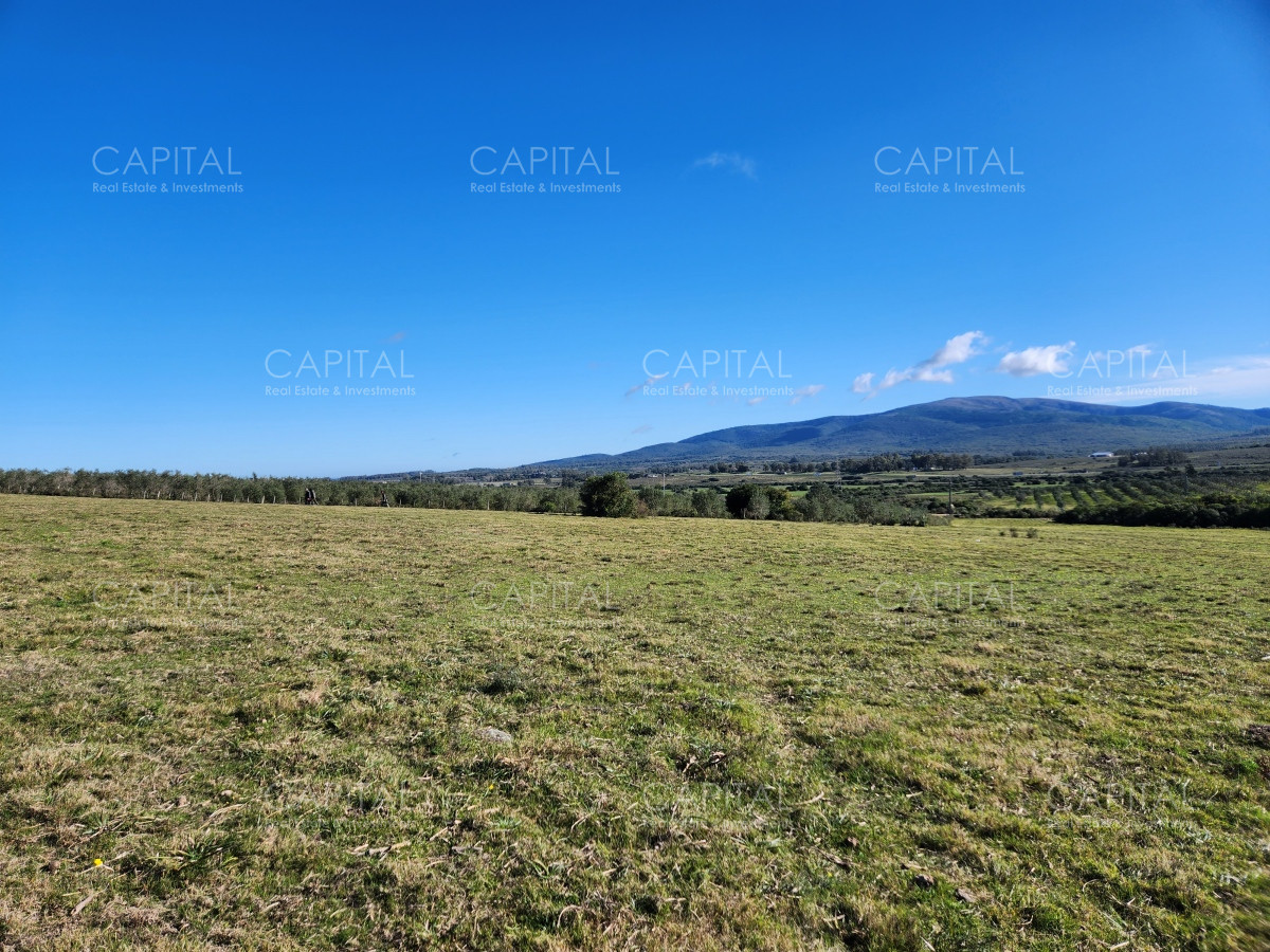 Chacra ID.38313 - Venta de chacras sobre Cerro Pan de Azúcar, Maldonado 