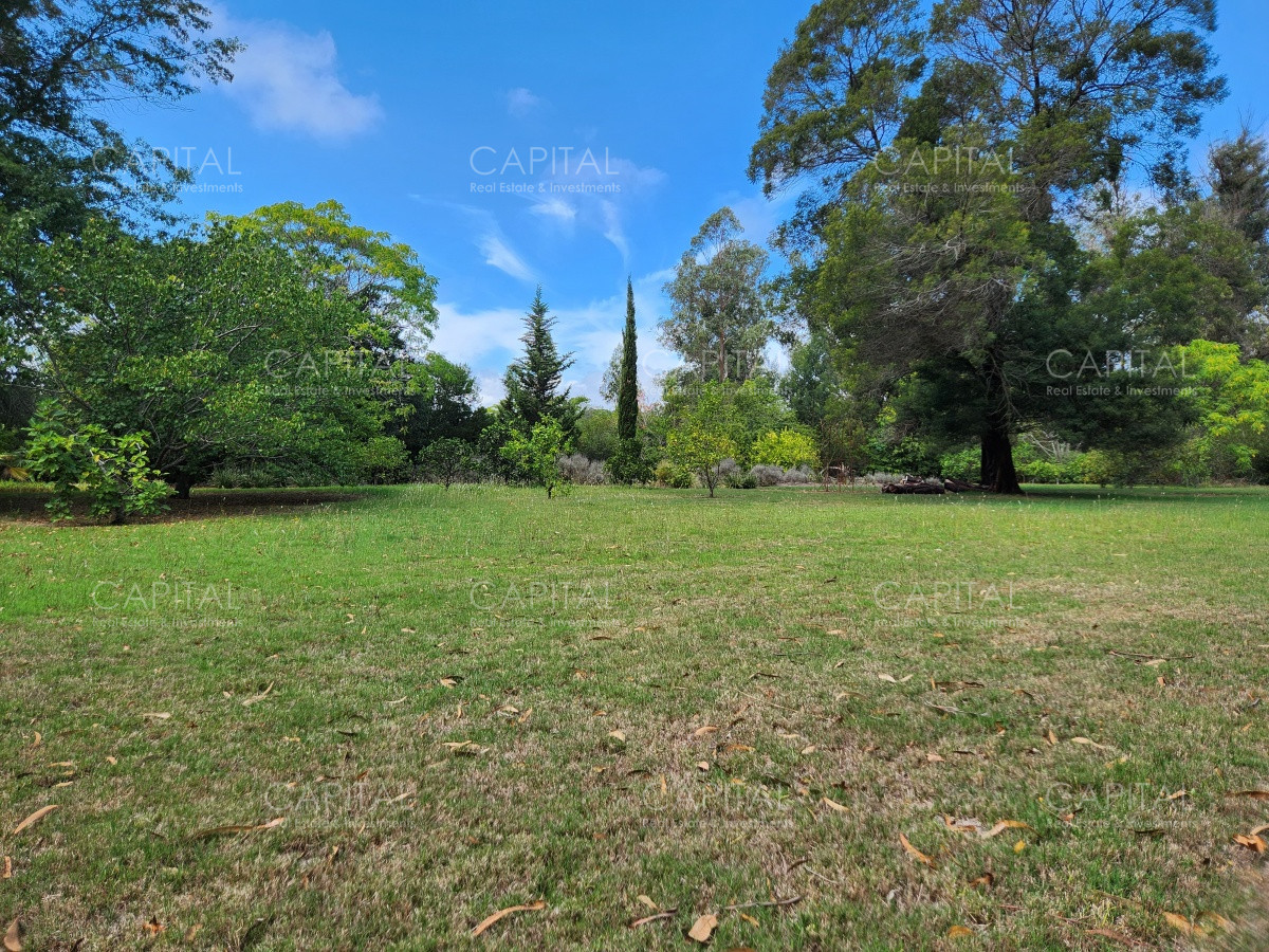 Chacra ID.36278 - Chacra en Venta Punta Ballena