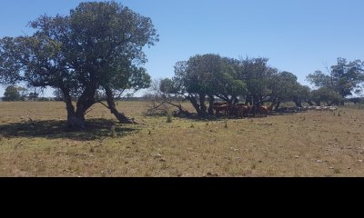 Chacra en Zona Rural - Zona Rural