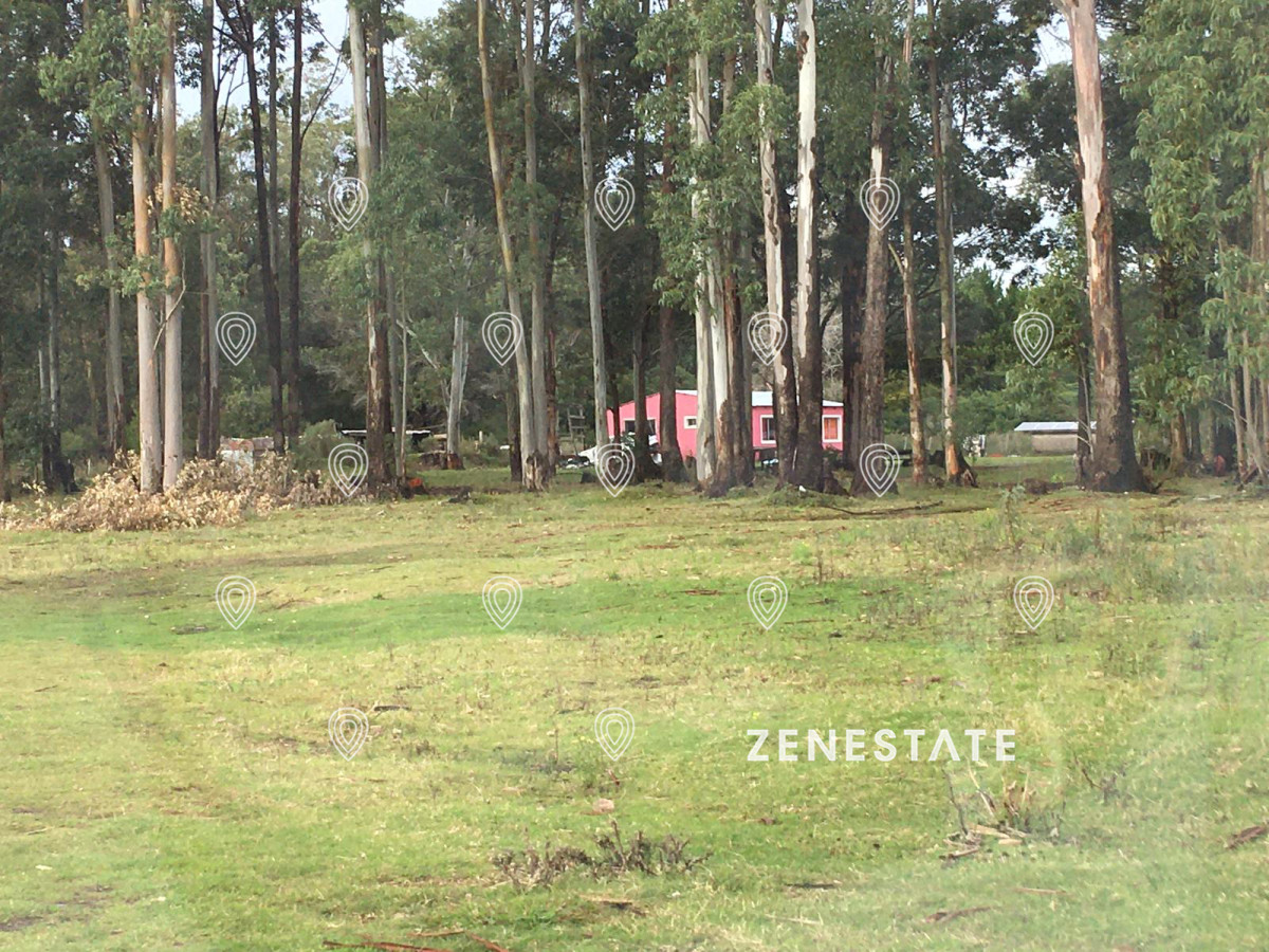 Chacra en La Pataia - Punta Ballena - ZEN3492H