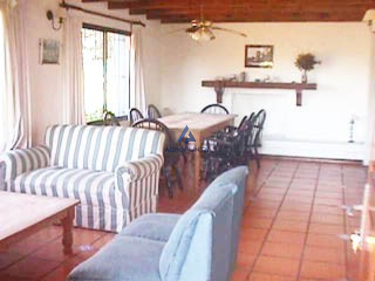 Tio Tom - GoPunta - Portal Inmobiliario de Punta del Este - Maldonado