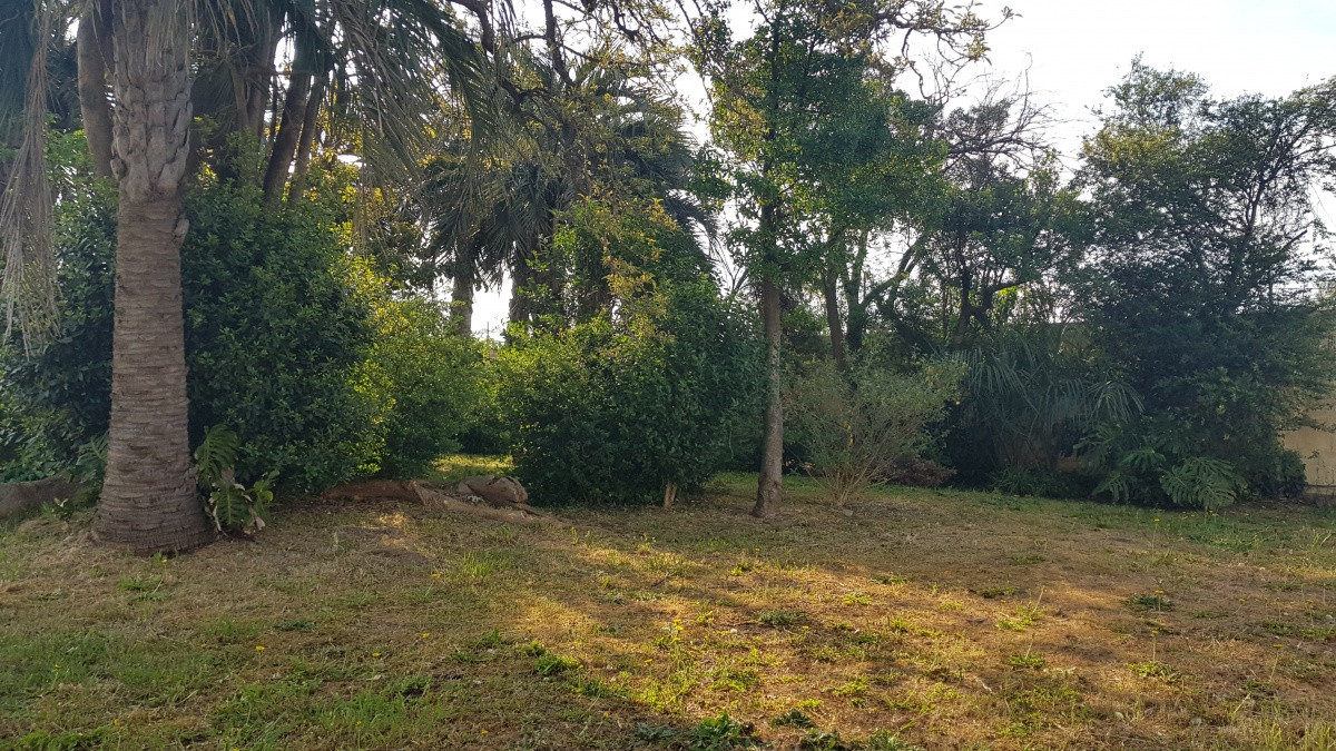 Casa ID.4944 - Casa en Maldonado, Centro Maldonado