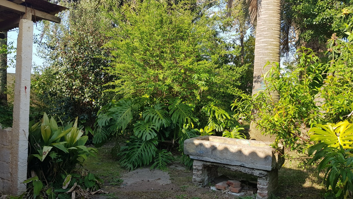 Casa ID.4944 - Casa en Maldonado, Centro Maldonado