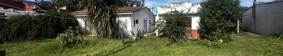 Venta de 3 casas sobre camino Lissich Punta Ballena