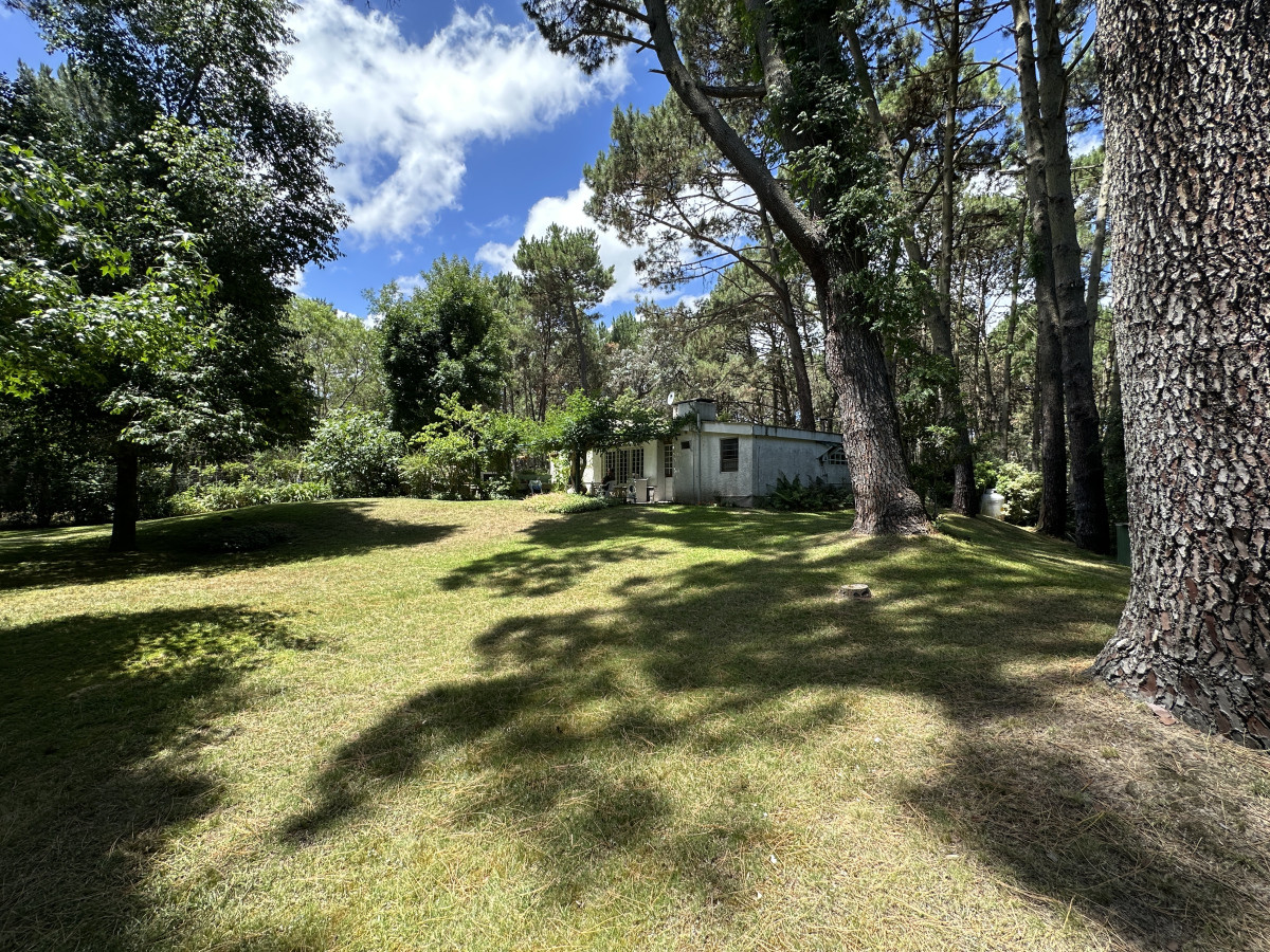 Casa ID.6698 - Venta casa en zona Portezuelo bosque, Punta Ballena 