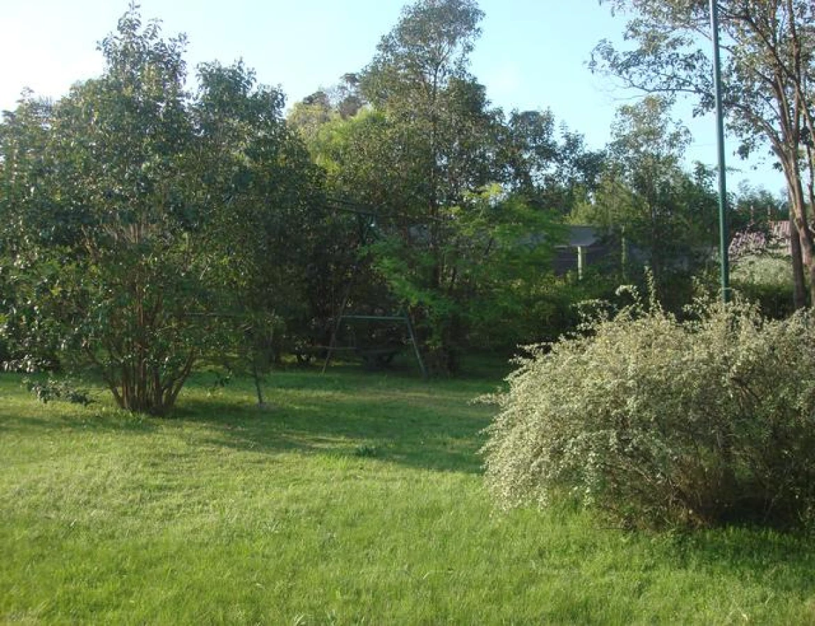 Casa ID.151 - Casa alquiler anual, Punta Ballena