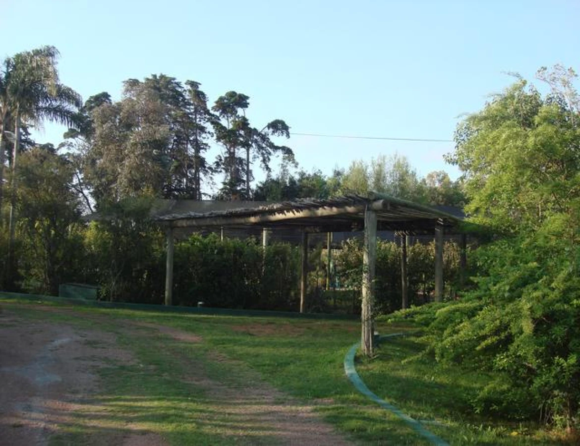 Casa ID.151 - Casa alquiler anual, Punta Ballena