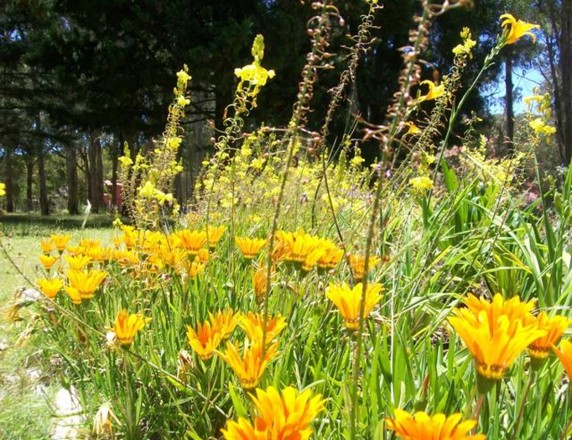 Casa ID.233 - Hermosa casa quinta compuesta de 3 construcciones, Casa de Huéspedes