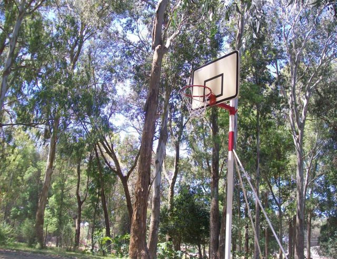 Casa ID.233 - Hermosa casa quinta compuesta de 3 construcciones, Casa de Huéspedes