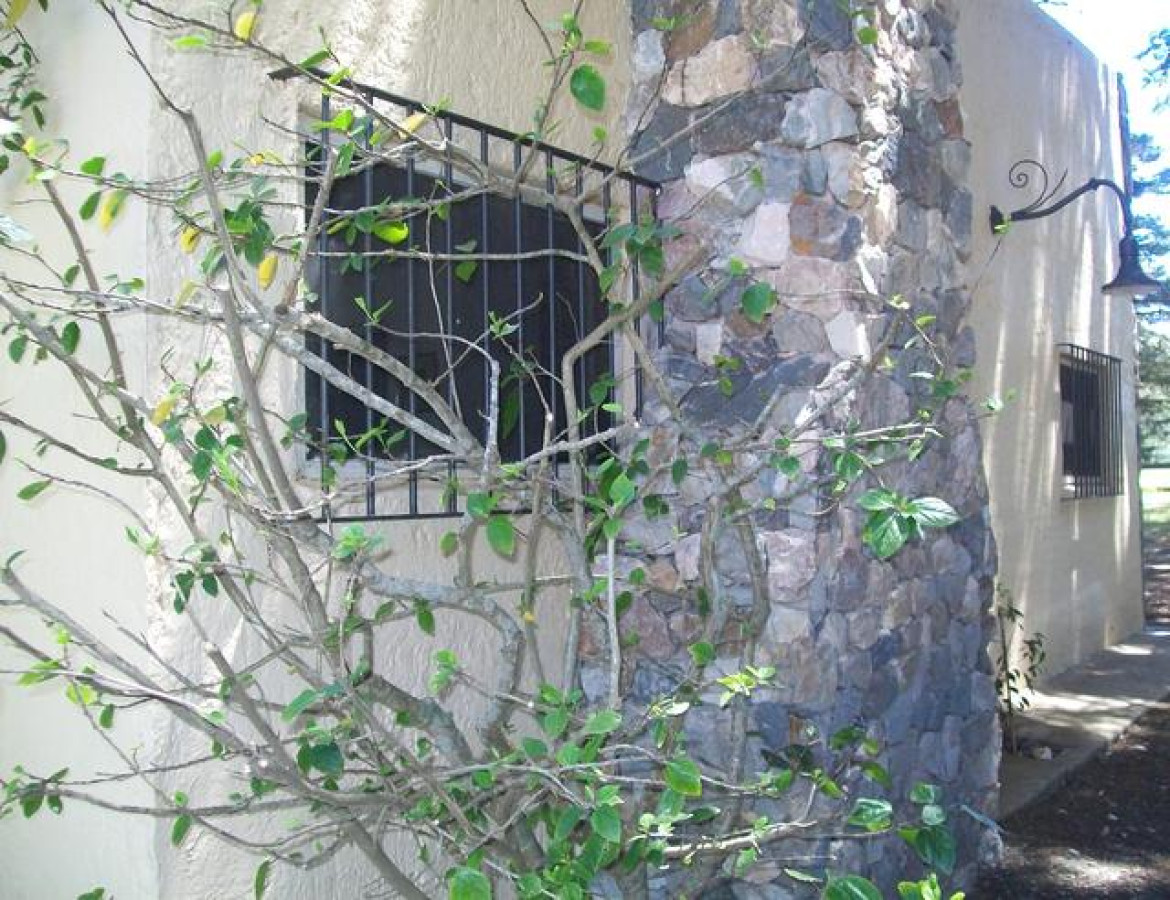 Casa ID.233 - Hermosa casa quinta compuesta de 3 construcciones, Casa de Huéspedes