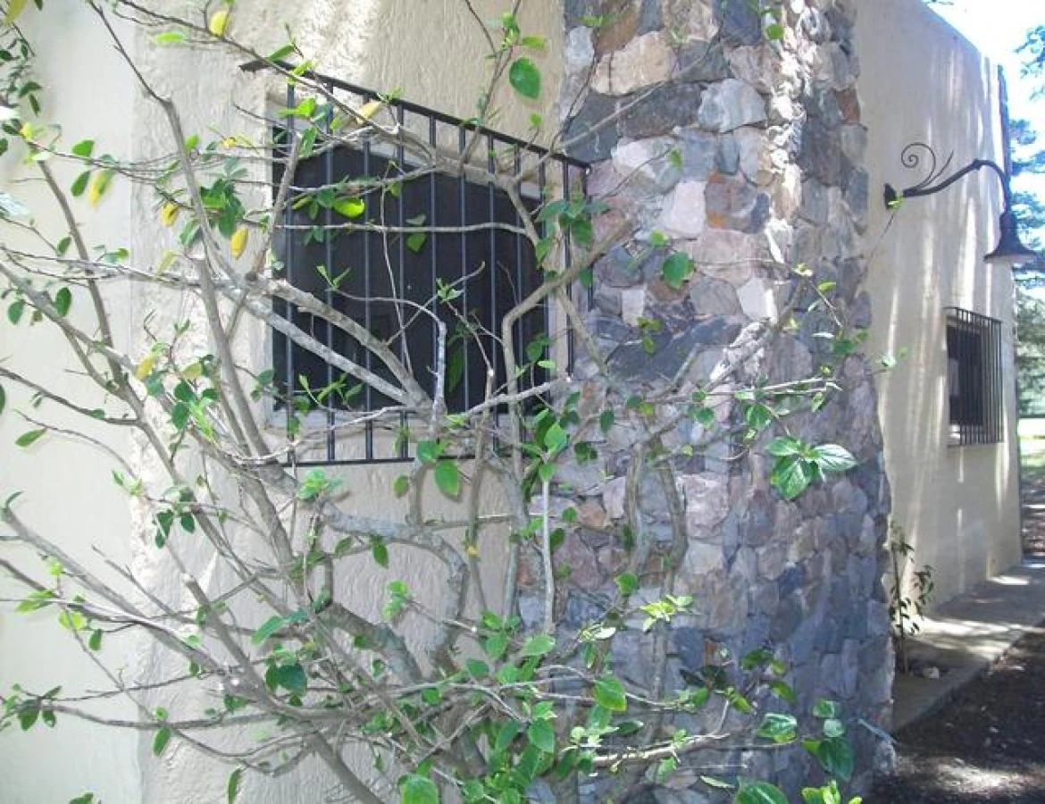 Casa ID.233 - Hermosa casa quinta compuesta de 3 construcciones, Casa de Huéspedes