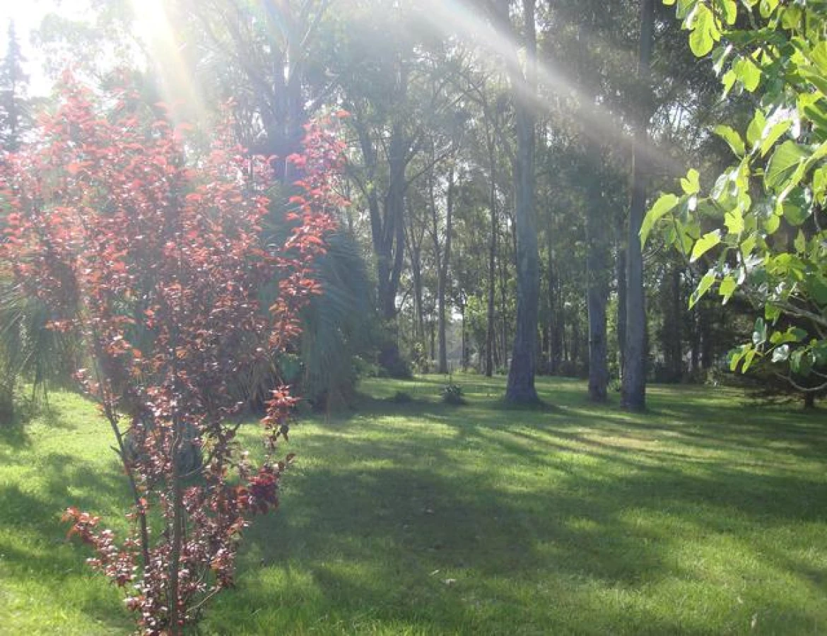 Casa ID.233 - Hermosa casa quinta compuesta de 3 construcciones, Casa de Huéspedes